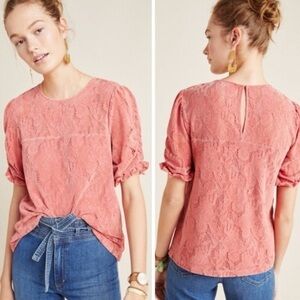 Anthropologie Parvati Velvet Lace Short Sleeve Blouse  Size XL Boho Romantic